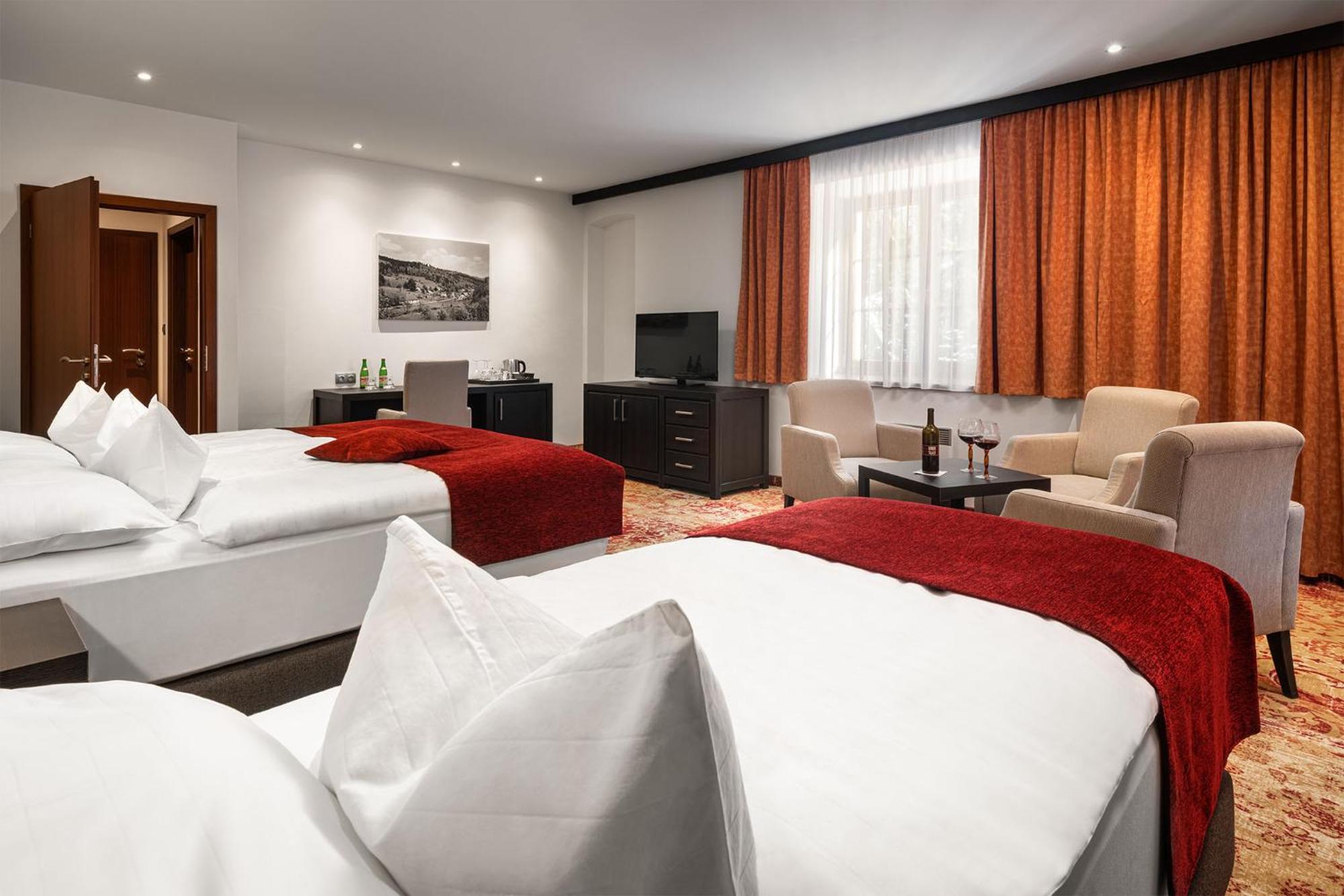 Hotel Singer Ludvíkov Zimmer foto